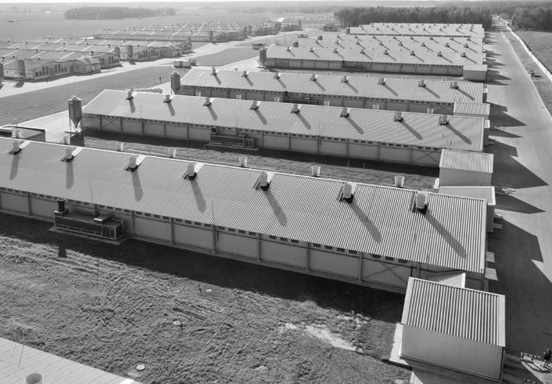 hormigon-agroganaderia