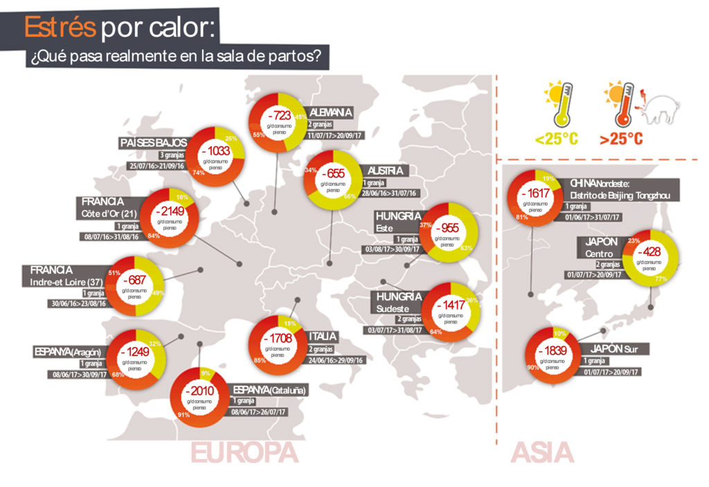 Lallemand Animal Nutrition presenta un mapa actualizado del riesgo de estrés por calor para cerdas en Europa y algunos territorios de Asia.