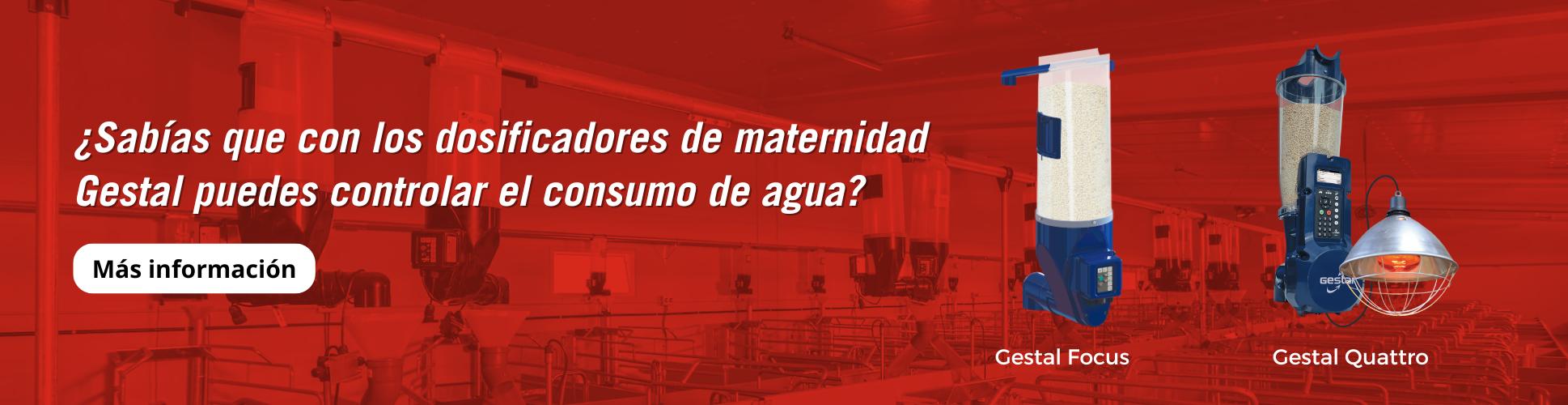 Optimización del uso de pienso y agua en el sector porcino