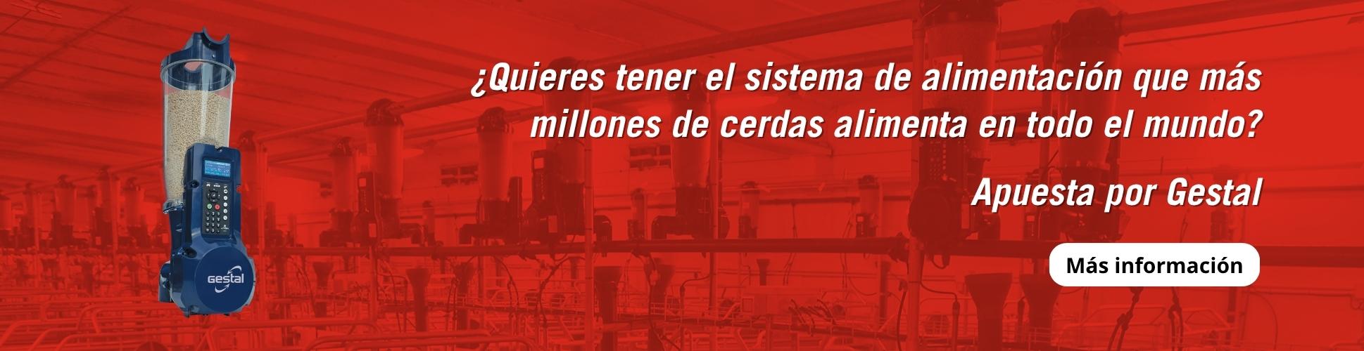 Banner - Gestal SOLO - La alimentación en el sector porcino: el coste fijo que sí se puede optimizar
