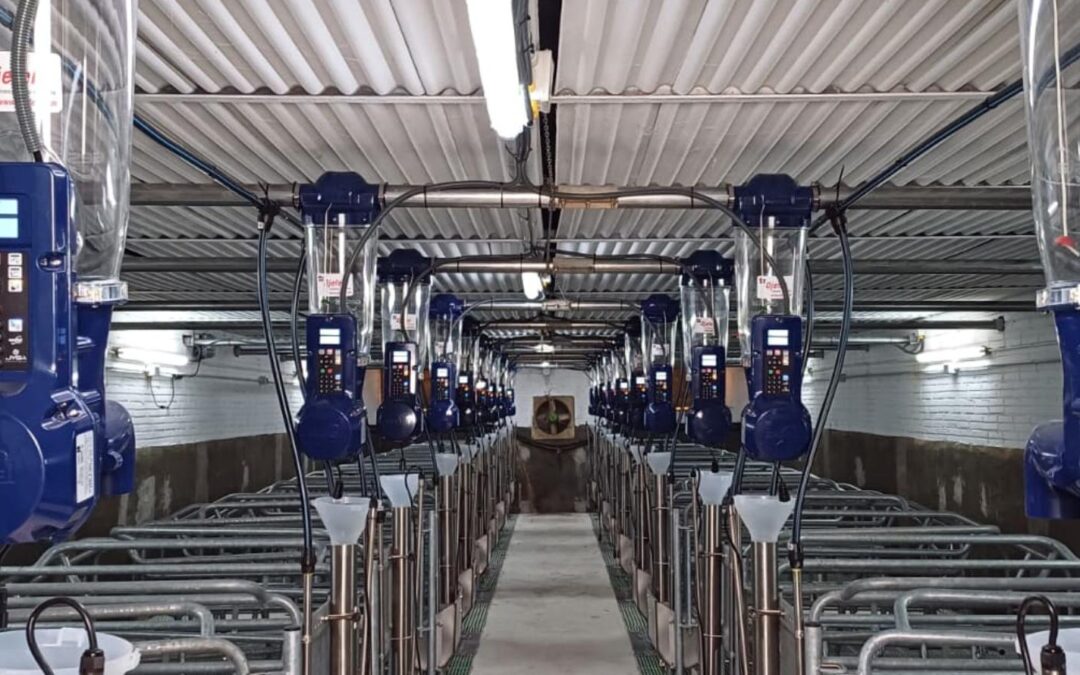 Portada - La alimentación en el sector porcino: el coste fijo que sí se puede optimizar
