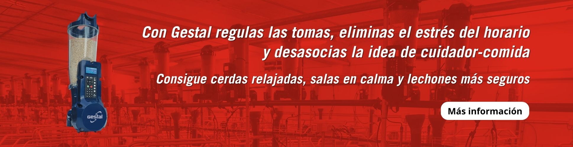 Banner - Sistema de alimentación de precisión GESTAL SOLO
