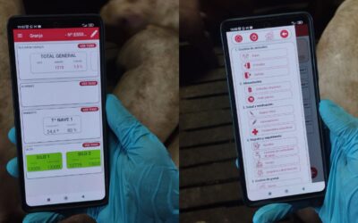 Burocracia en granja: cuando gestionar la información también forma parte del trabajo